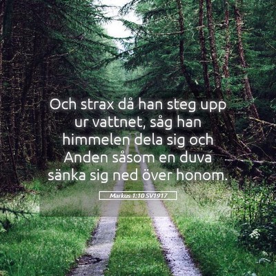 Picture 05 - Markus 1:10 SV1917 - Och strax då han steg upp ur vattnet, såg han - Bible Verse Picture