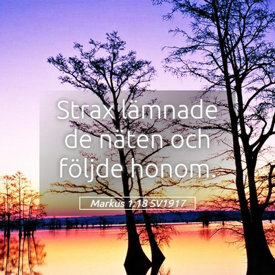 Picture 05 - Markus 1:18 SV1917 - Strax lämnade de näten och följde - Bible Verse Picture