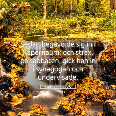 Picture 05 - Markus 1:21 SV1917 - Sedan begåvo de sig in i Kapernaum; och strax, - Bible Verse Picture