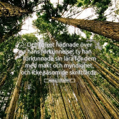 Picture 05 - Markus 1:22 SV1917 - Och folket häpnade över hans förkunnelse; ty - Bible Verse Picture
