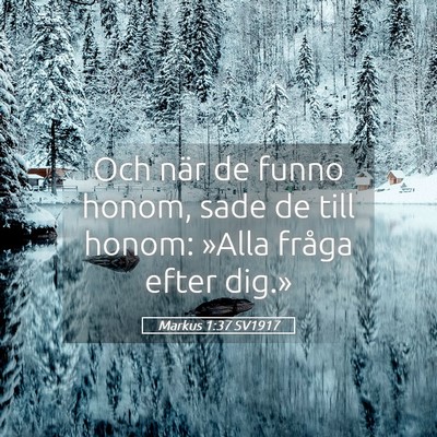 Picture 05 - Markus 1:37 SV1917 - Och när de funno honom, sade de till honom: - Bible Verse Picture