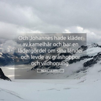 Picture 05 - Markus 1:6 SV1917 - Och Johannes hade kläder av kamelhår och bar en - Bible Verse Picture