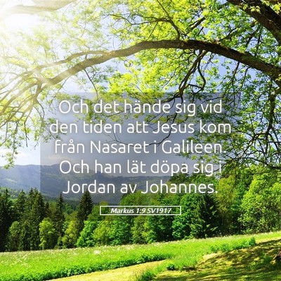 Picture 05 - Markus 1:9 SV1917 - Och det hände sig vid den tiden att Jesus kom - Bible Verse Picture