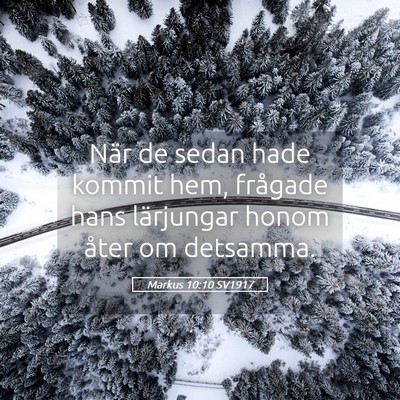 Picture 05 - Markus 10:10 SV1917 - När de sedan hade kommit hem, frågade hans - Bible Verse Picture