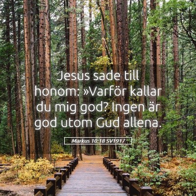 Picture 05 - Markus 10:18 SV1917 - Jesus sade till honom: »Varför kallar du mig - Bible Verse Picture