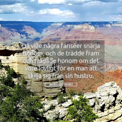 Picture 05 - Markus 10:2 SV1917 - Då ville några fariséer snärja honom, och de - Bible Verse Picture