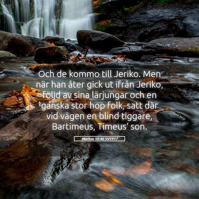 Picture 05 - Markus 10:46 SV1917 - Och de kommo till Jeriko. Men när han åter gick - Bible Verse Picture