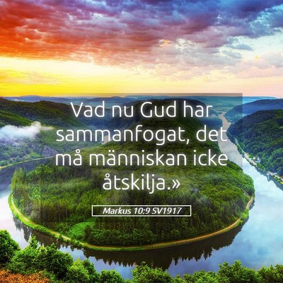 Picture 05 - Markus 10:9 SV1917 - Vad nu Gud har sammanfogat, det må människan - Bible Verse Picture
