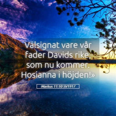 Picture 05 - Markus 11:10 SV1917 - Välsignat vare vår fader Davids rike, som nu - Bible Verse Picture