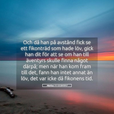 Picture 05 - Markus 11:13 SV1917 - Och då han på avstånd fick se ett fikonträd - Bible Verse Picture