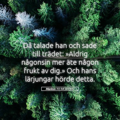 Picture 05 - Markus 11:14 SV1917 - Då talade han och sade till trädet: »Aldrig - Bible Verse Picture