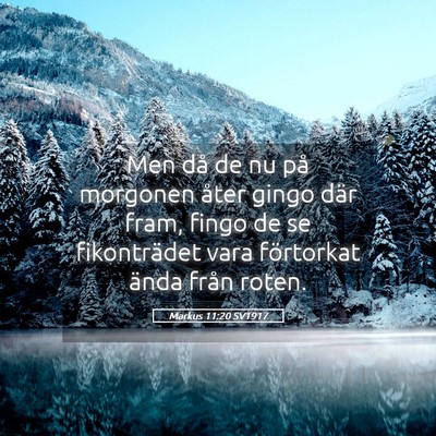 Picture 05 - Markus 11:20 SV1917 - Men då de nu på morgonen åter gingo där fram, - Bible Verse Picture