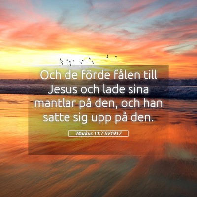Picture 05 - Markus 11:7 SV1917 - Och de förde fålen till Jesus och lade sina - Bible Verse Picture