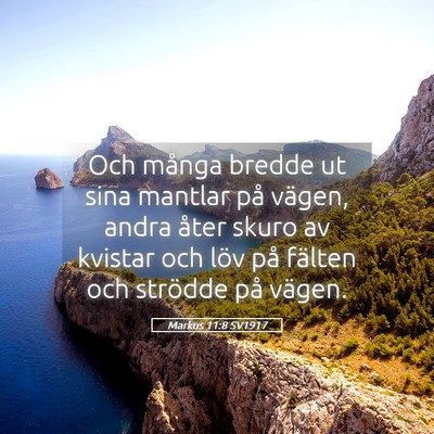 Picture 05 - Markus 11:8 SV1917 - Och många bredde ut sina mantlar på vägen, - Bible Verse Picture