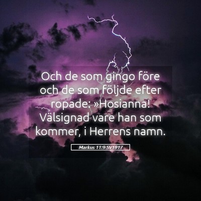 Picture 05 - Markus 11:9 SV1917 - Och de som gingo före och de som följde efter - Bible Verse Picture