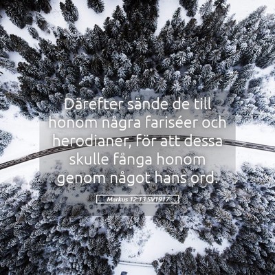 Picture 05 - Markus 12:13 SV1917 - Därefter sände de till honom några fariséer - Bible Verse Picture