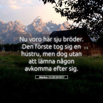 Picture 05 - Markus 12:20 SV1917 - Nu voro här sju bröder. Den förste tog sig en - Bible Verse Picture