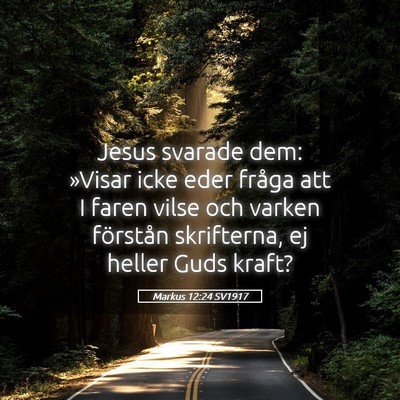 Picture 05 - Markus 12:24 SV1917 - Jesus svarade dem: »Visar icke eder fråga att I - Bible Verse Picture