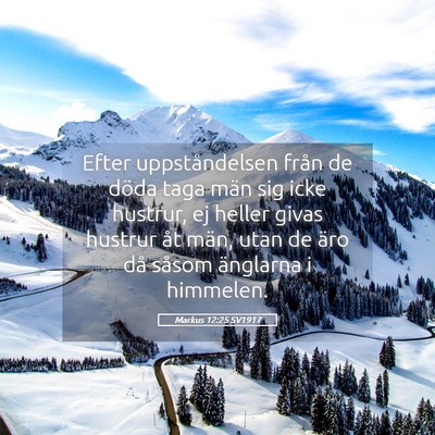Picture 05 - Markus 12:25 SV1917 - Efter uppståndelsen från de döda taga män sig - Bible Verse Picture