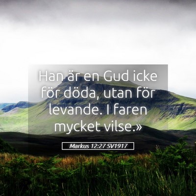 Picture 05 - Markus 12:27 SV1917 - Han är en Gud icke för döda, utan för - Bible Verse Picture
