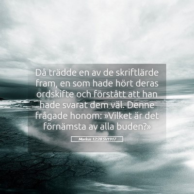 Picture 05 - Markus 12:28 SV1917 - Då trädde en av de skriftlärde fram, en som - Bible Verse Picture