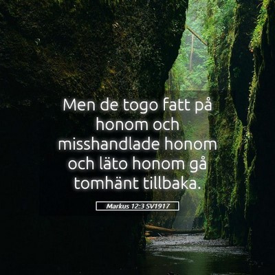 Picture 05 - Markus 12:3 SV1917 - Men de togo fatt på honom och misshandlade honom - Bible Verse Picture