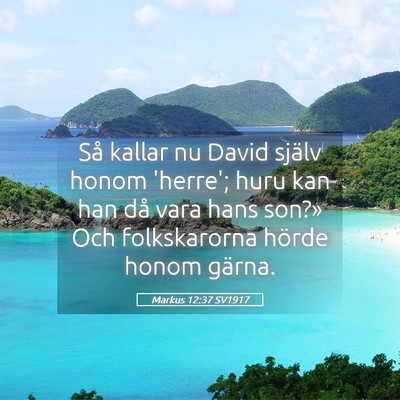 Picture 05 - Markus 12:37 SV1917 - Så kallar nu David själv honom 'herre'; huru - Bible Verse Picture