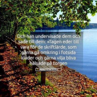 Picture 05 - Markus 12:38 SV1917 - Och han undervisade dem och sade till dem: - Bible Verse Picture