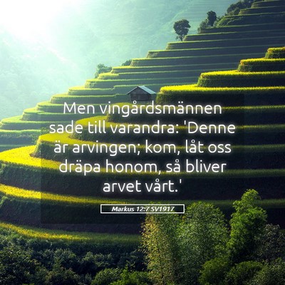 Picture 05 - Markus 12:7 SV1917 - Men vingårdsmännen sade till varandra: 'Denne - Bible Verse Picture