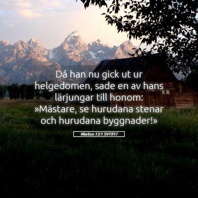 Picture 05 - Markus 13:1 SV1917 - Då han nu gick ut ur helgedomen, sade en av hans - Bible Verse Picture