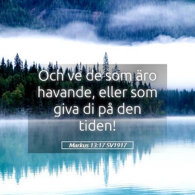Picture 05 - Markus 13:17 SV1917 - Och ve de som äro havande, eller som giva di på - Bible Verse Picture
