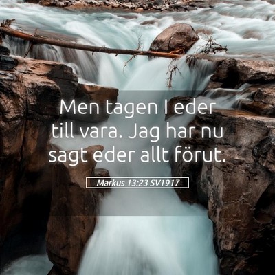 Picture 05 - Markus 13:23 SV1917 - Men tagen I eder till vara. Jag har nu sagt eder - Bible Verse Picture