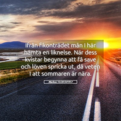 Picture 05 - Markus 13:28 SV1917 - Ifrån fikonträdet mån I här hämta en - Bible Verse Picture