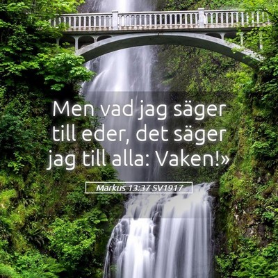 Picture 05 - Markus 13:37 SV1917 - Men vad jag säger till eder, det säger jag till - Bible Verse Picture