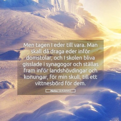 Picture 05 - Markus 13:9 SV1917 - Men tagen I eder till vara. Man skall då draga - Bible Verse Picture