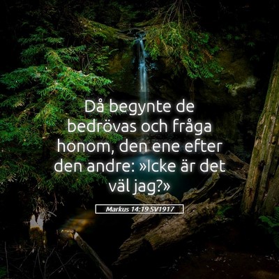 Picture 05 - Markus 14:19 SV1917 - Då begynte de bedrövas och fråga honom, den - Bible Verse Picture