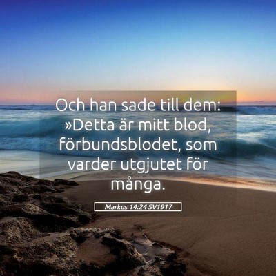 Picture 05 - Markus 14:24 SV1917 - Och han sade till dem: »Detta är mitt blod, - Bible Verse Picture