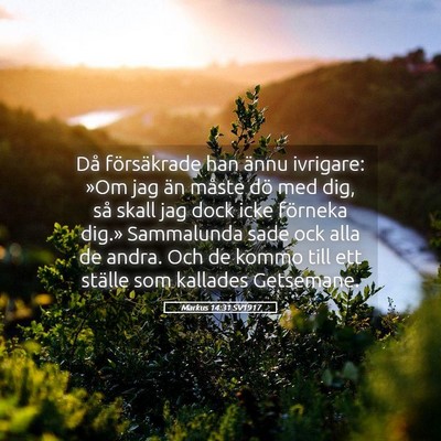 Picture 05 - Markus 14:31 SV1917 - Då försäkrade han ännu ivrigare: »Om jag än - Bible Verse Picture