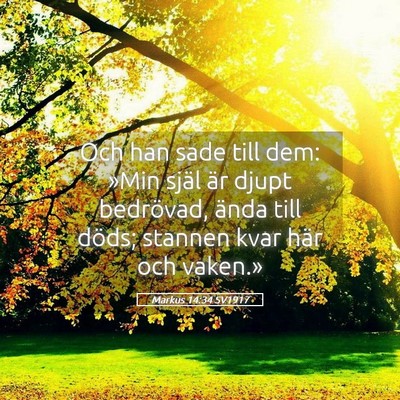 Picture 05 - Markus 14:34 SV1917 - Och han sade till dem: »Min själ är djupt - Bible Verse Picture
