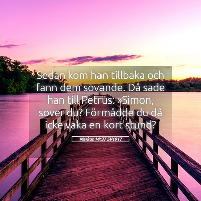 Picture 05 - Markus 14:37 SV1917 - Sedan kom han tillbaka och fann dem sovande. Då - Bible Verse Picture
