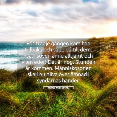 Picture 05 - Markus 14:41 SV1917 - För tredje gången kom han tillbaka och sade då - Bible Verse Picture
