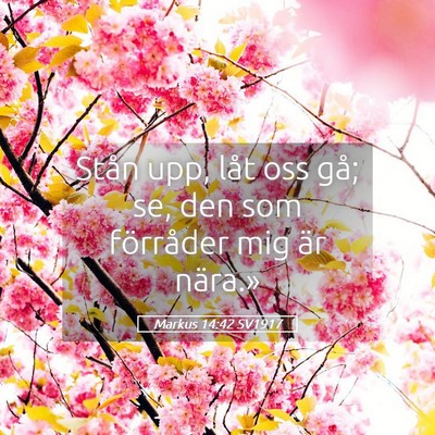 Picture 05 - Markus 14:42 SV1917 - Stån upp, låt oss gå; se, den som förråder - Bible Verse Picture