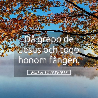 Picture 05 - Markus 14:46 SV1917 - Då grepo de Jesus och togo honom - Bible Verse Picture