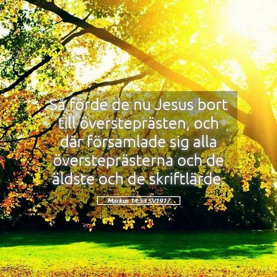 Picture 05 - Markus 14:53 SV1917 - Så förde de nu Jesus bort till - Bible Verse Picture
