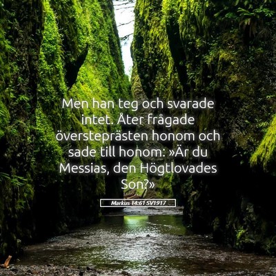 Picture 05 - Markus 14:61 SV1917 - Men han teg och svarade intet. Åter frågade - Bible Verse Picture