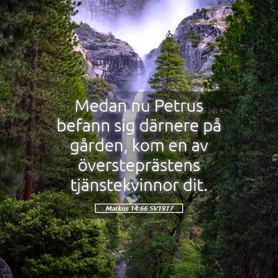Picture 05 - Markus 14:66 SV1917 - Medan nu Petrus befann sig därnere på gården, - Bible Verse Picture