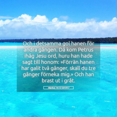 Picture 05 - Markus 14:72 SV1917 - Och i detsamma gol hanen för andra gången. Då - Bible Verse Picture