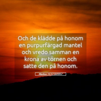 Picture 05 - Markus 15:17 SV1917 - Och de klädde på honom en purpurfärgad mantel - Bible Verse Picture