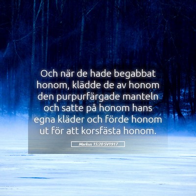 Picture 05 - Markus 15:20 SV1917 - Och när de hade begabbat honom, klädde de av - Bible Verse Picture