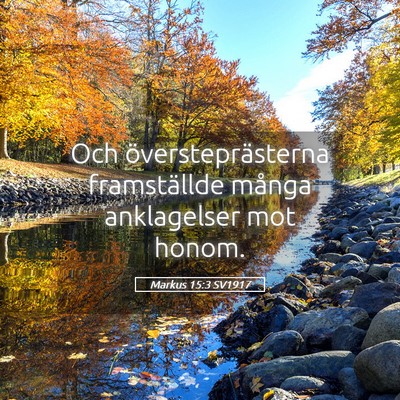 Picture 05 - Markus 15:3 SV1917 - Och översteprästerna framställde många - Bible Verse Picture